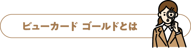 ビューカード スタンダードとは